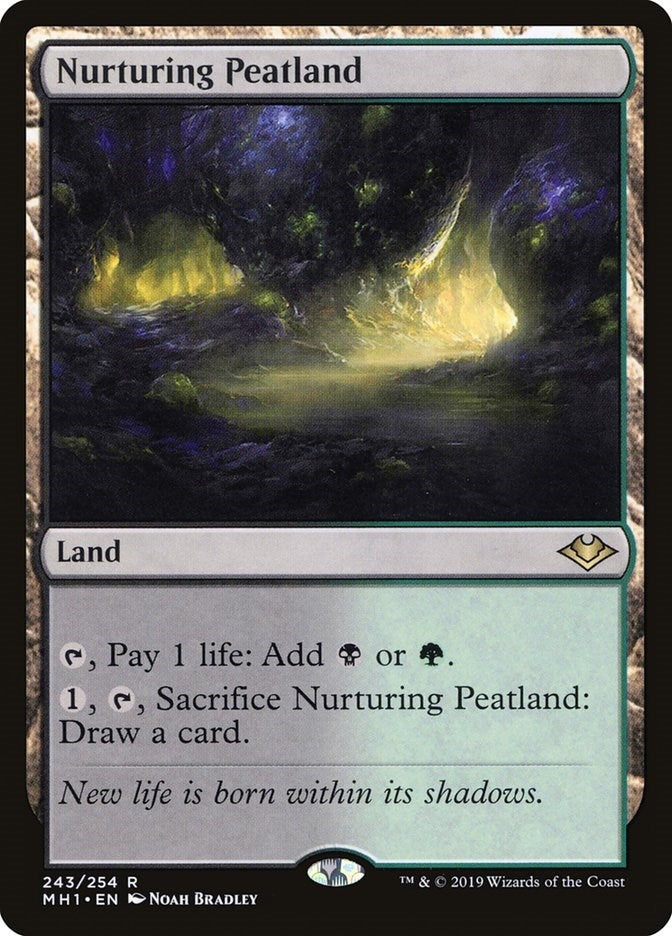 Image for Nurturing Peatland (243) - Magic: The Gathering