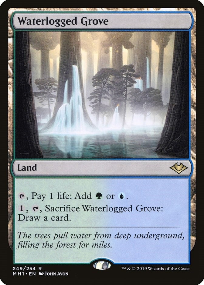 Image for Waterlogged Grove (249) - Magic: The Gathering